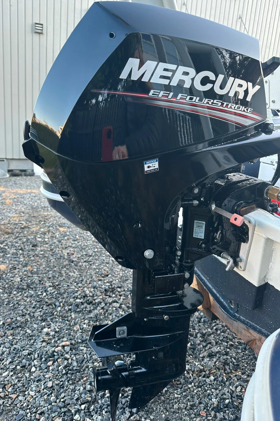  Tribell Smart Rib 2019 +  Mercury 10(15) | Mobile.bg   12