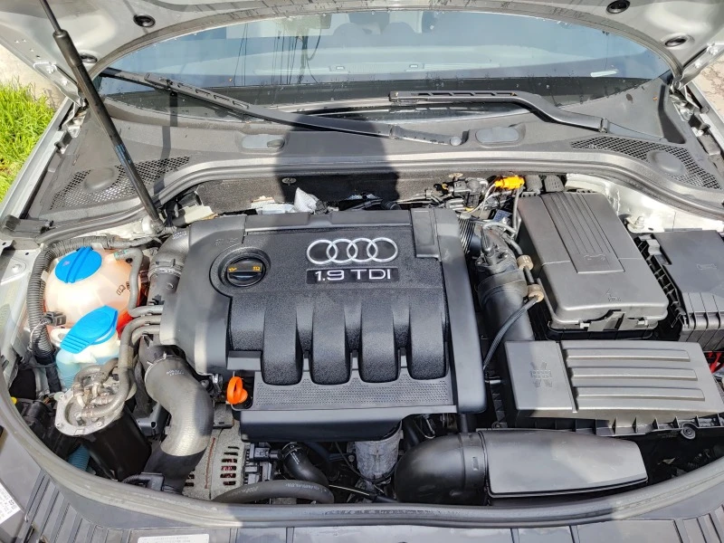 Audi A3 1.9 TDI, снимка 10 - Автомобили и джипове - 47618544