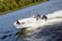 Обява за продажба на Лодка Собствено производство PEGAZUS 450 ~9 900 лв. - изображение 1