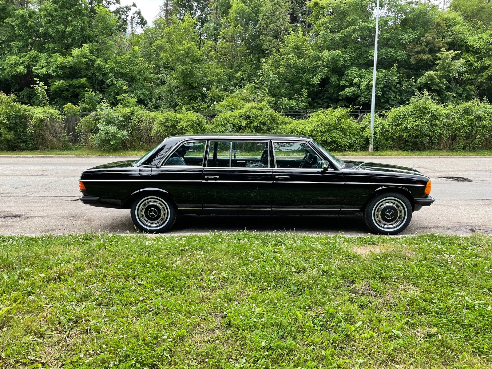 Mercedes-Benz 123 250 Pullman - изображение 2