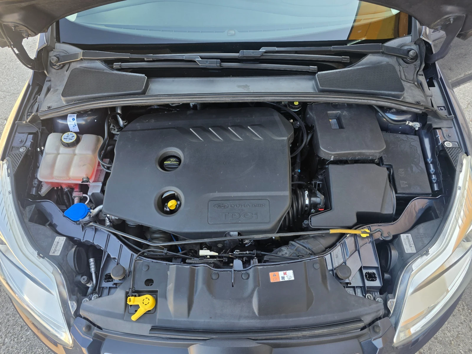 Ford Focus 1.6TDCI ITALY TOP | Mobile.bg   16