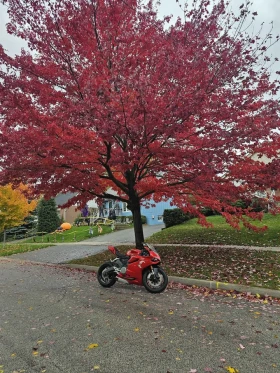 Ducati 999 * CARFAX * ��� ������������ ������ | Mobile.bg � ����� ������ 2