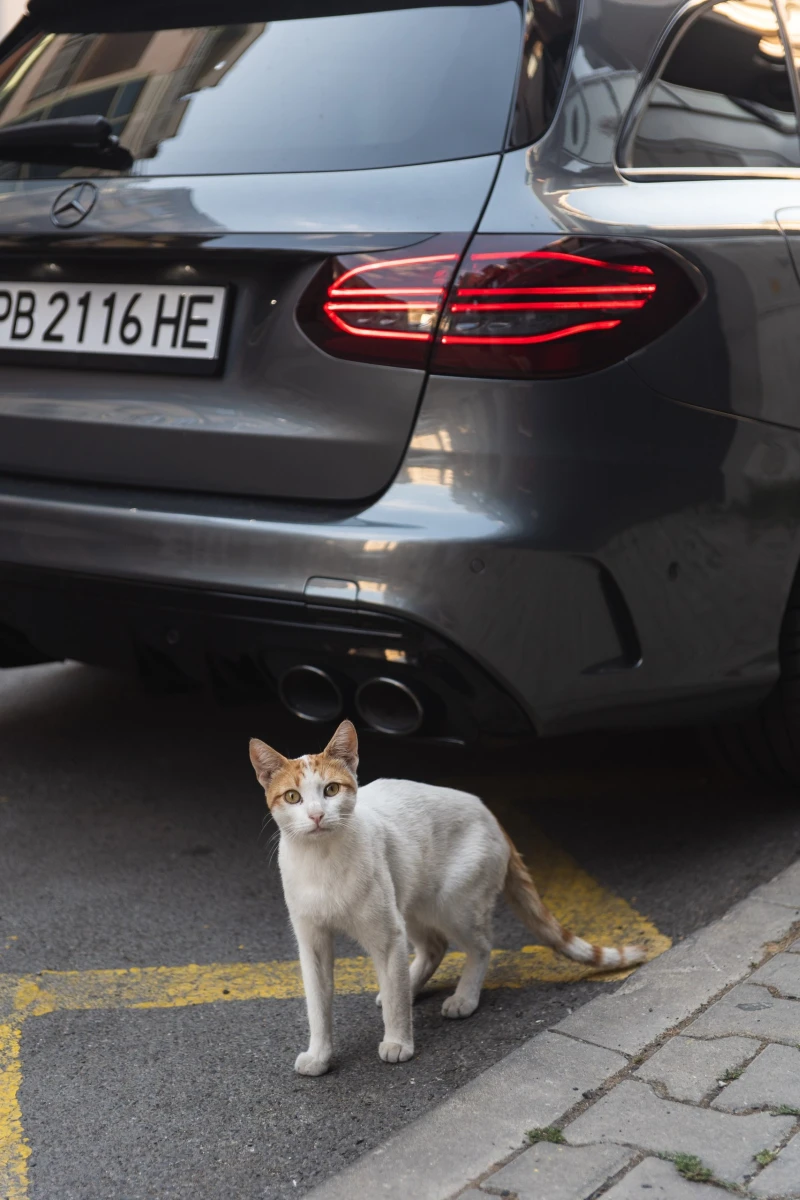 Mercedes-Benz C 43 AMG, снимка 6 - Автомобили и джипове - 52339058