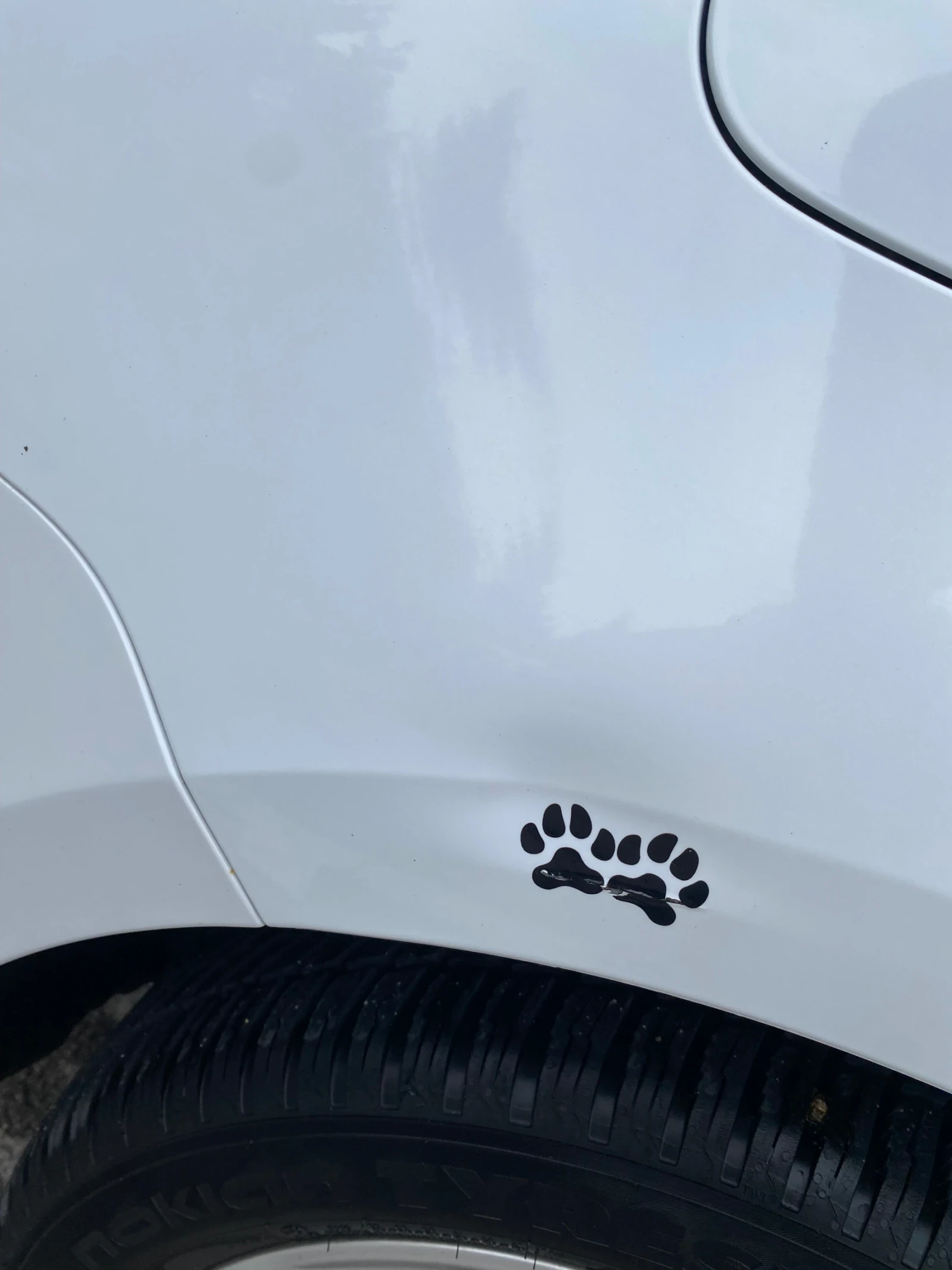 Skoda Octavia 4Х4 | Mobile.bg — изображение 16