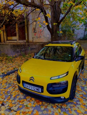 Citroen C4 Cactus, снимка 1