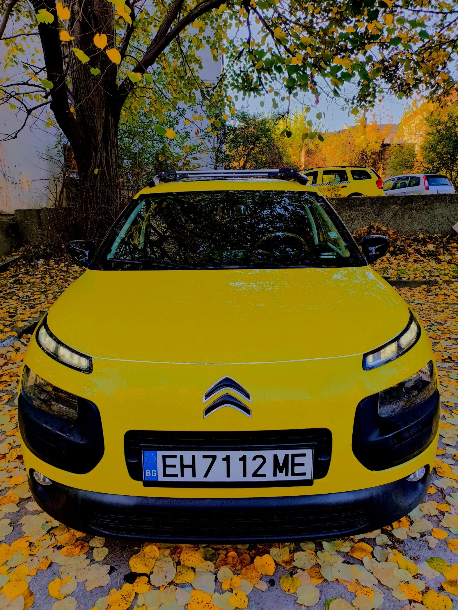 Citroen C4 Cactus, снимка 3 - Автомобили и джипове - 54112813