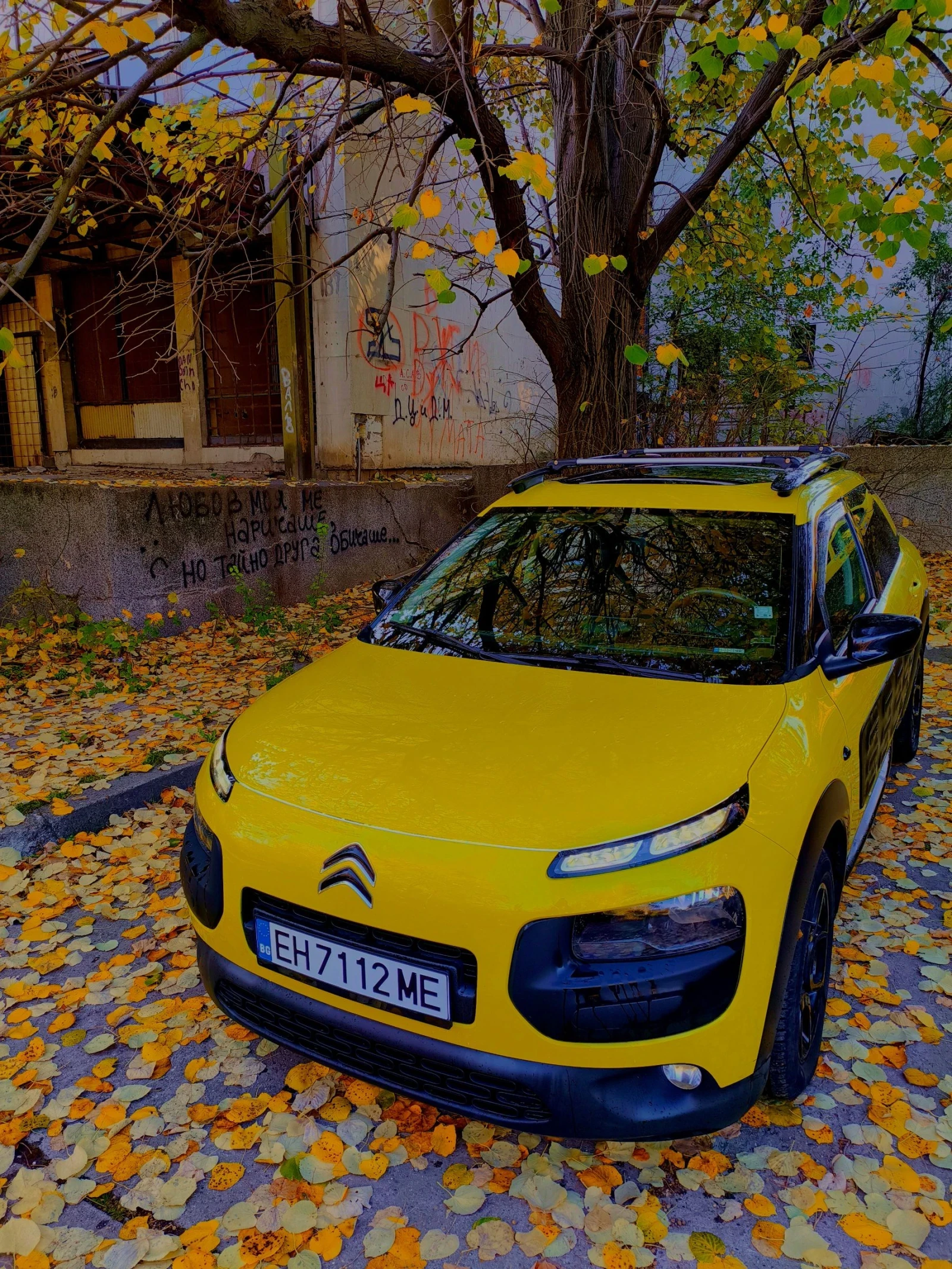 Citroen C4 Cactus undefined | Auto.bg — изображение 1