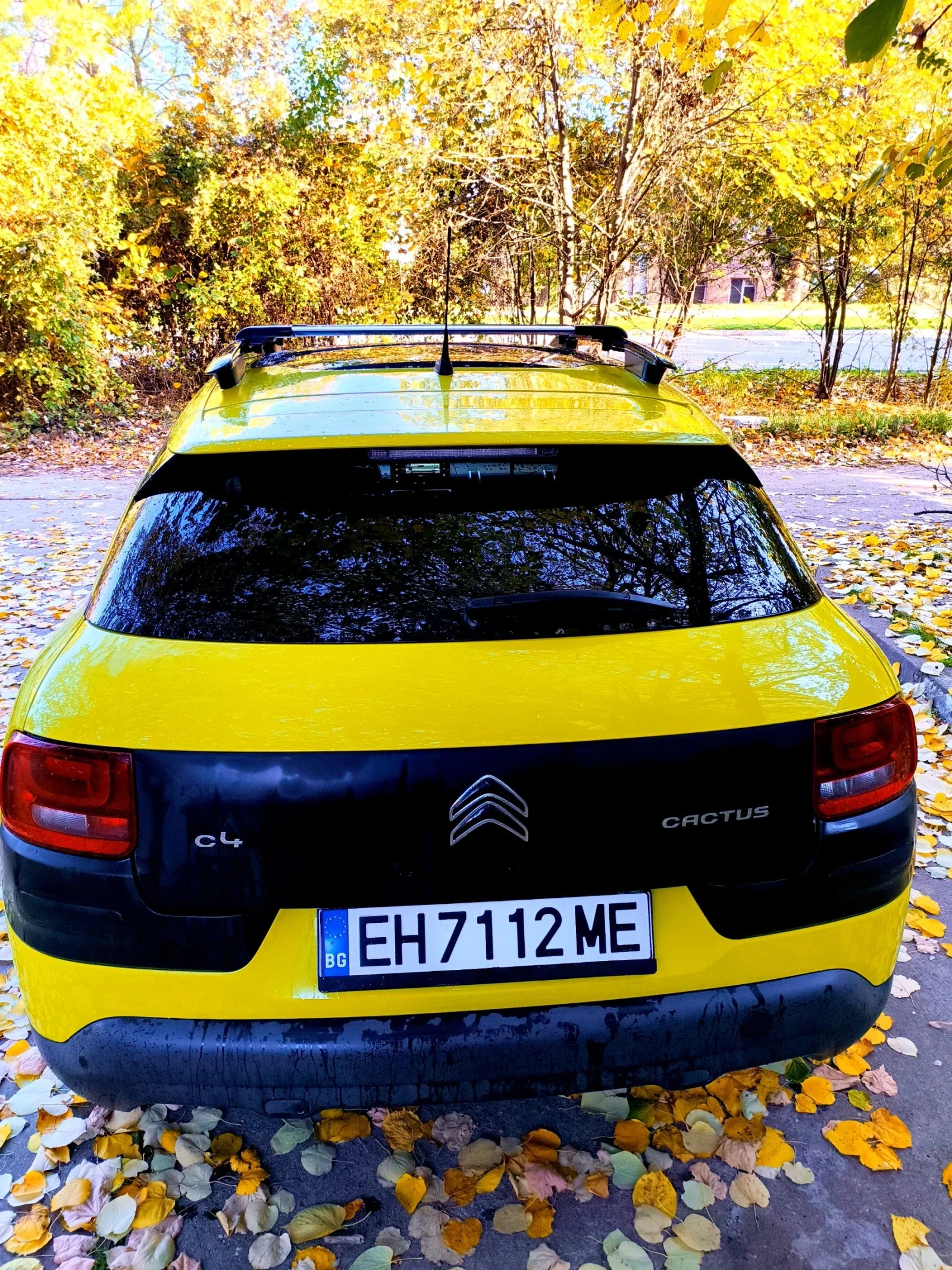 Citroen C4 Cactus, снимка 4 - Автомобили и джипове - 54112813