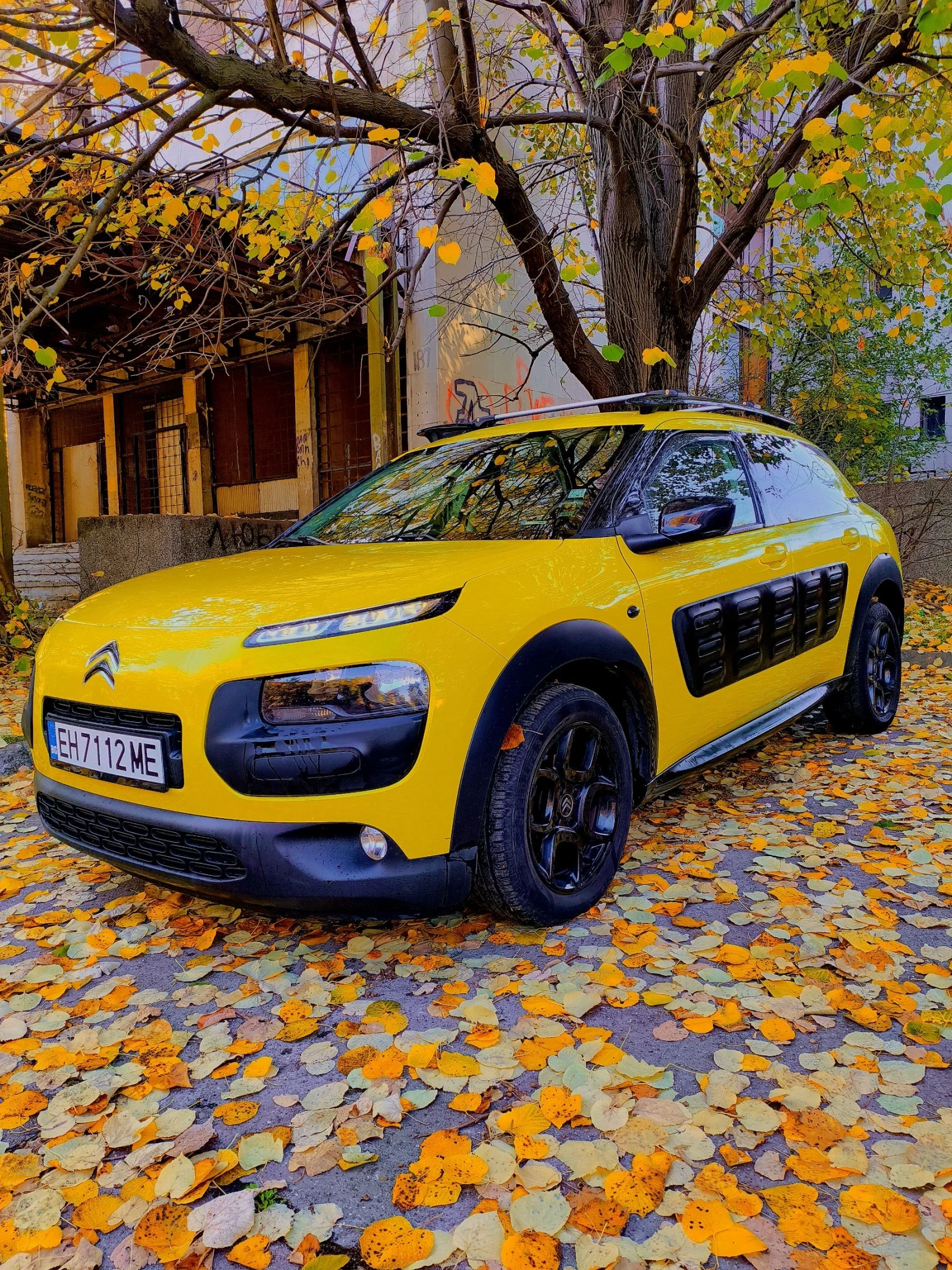 Citroen C4 Cactus, снимка 2 - Автомобили и джипове - 54112813
