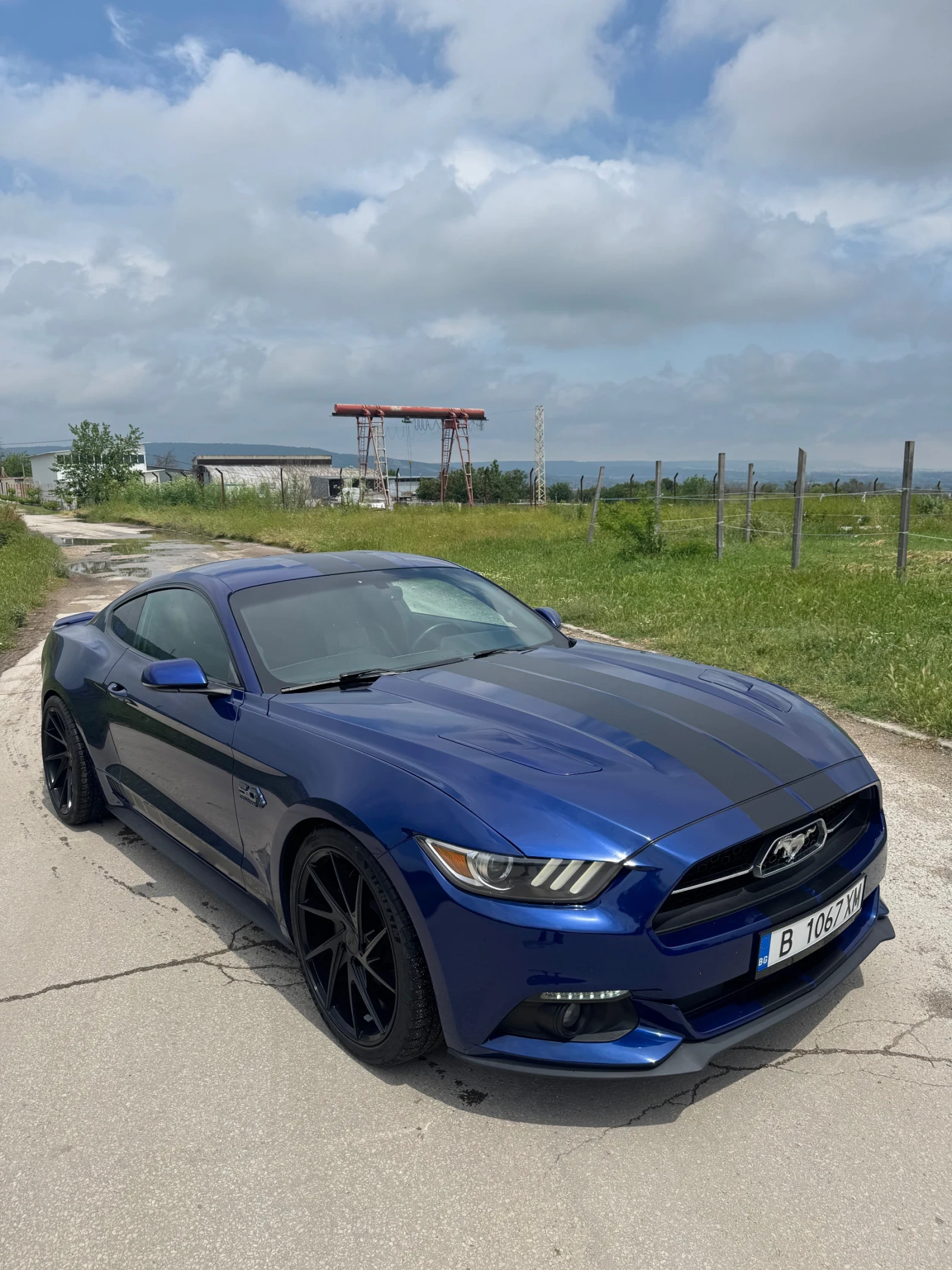 Ford Mustang 5.0 50th Anniversary 