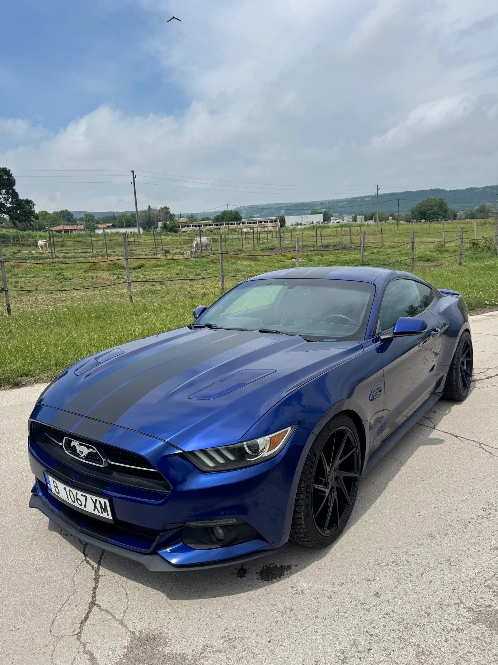 Ford Mustang 5.0 50th Anniversary , снимка 2 - Автомобили и джипове - 55839975