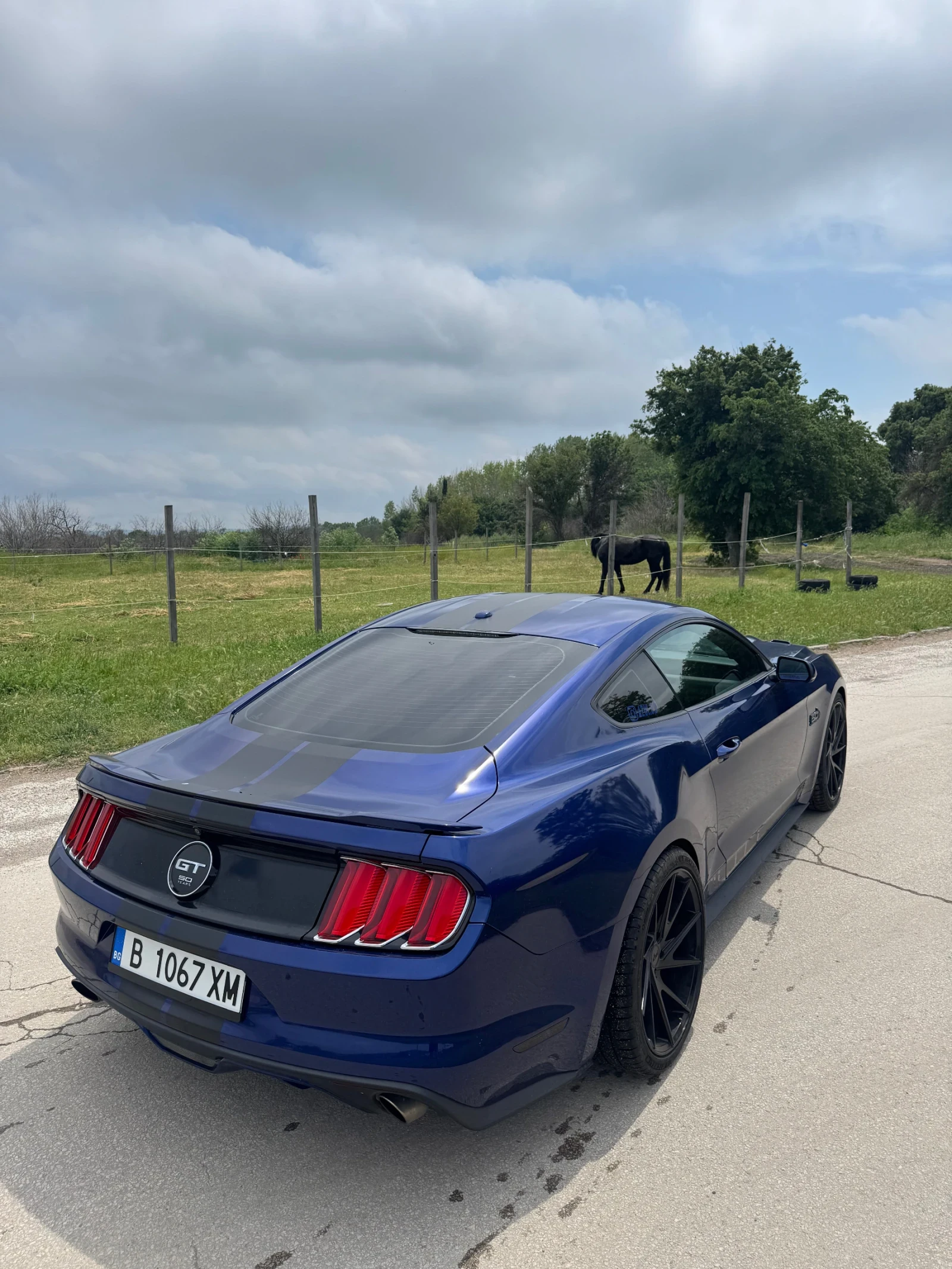 Ford Mustang 5.0 50th Anniversary , снимка 3 - Автомобили и джипове - 55839975