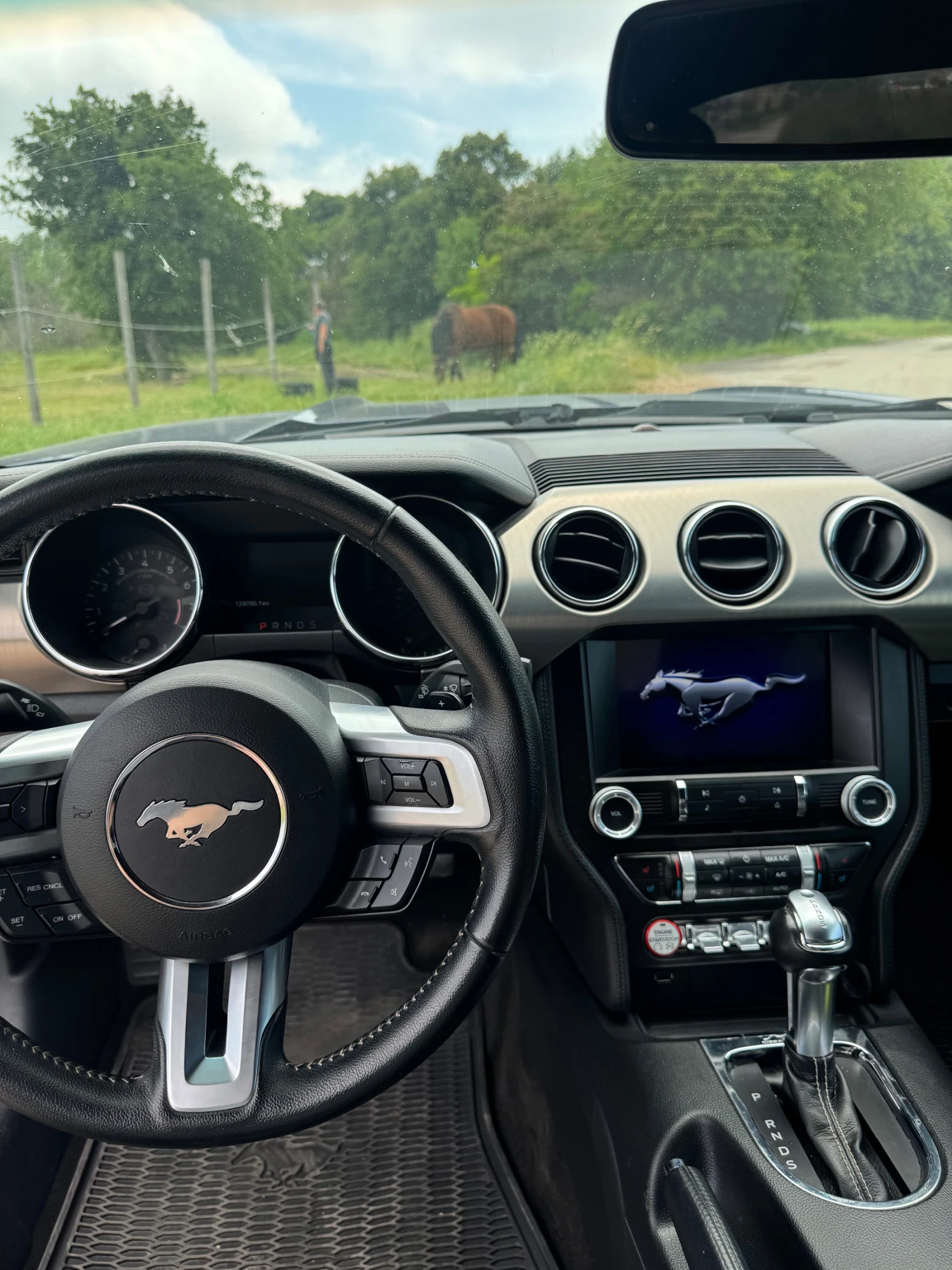 Ford Mustang 5.0 50th Anniversary , снимка 11 - Автомобили и джипове - 55839975