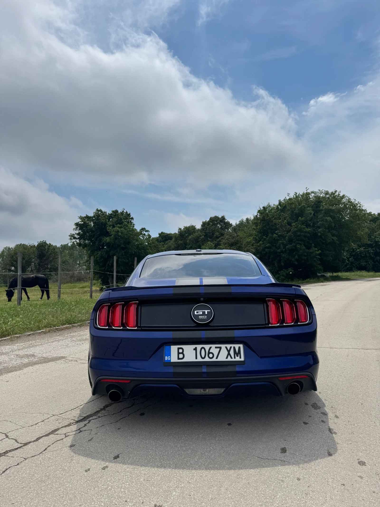 Ford Mustang 5.0 50th Anniversary , снимка 6 - Автомобили и джипове - 55839975