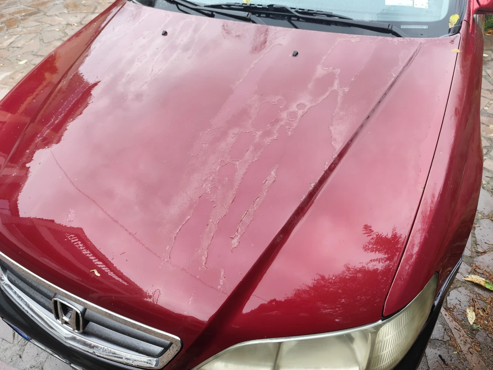 Honda Accord 2 - изображение 3