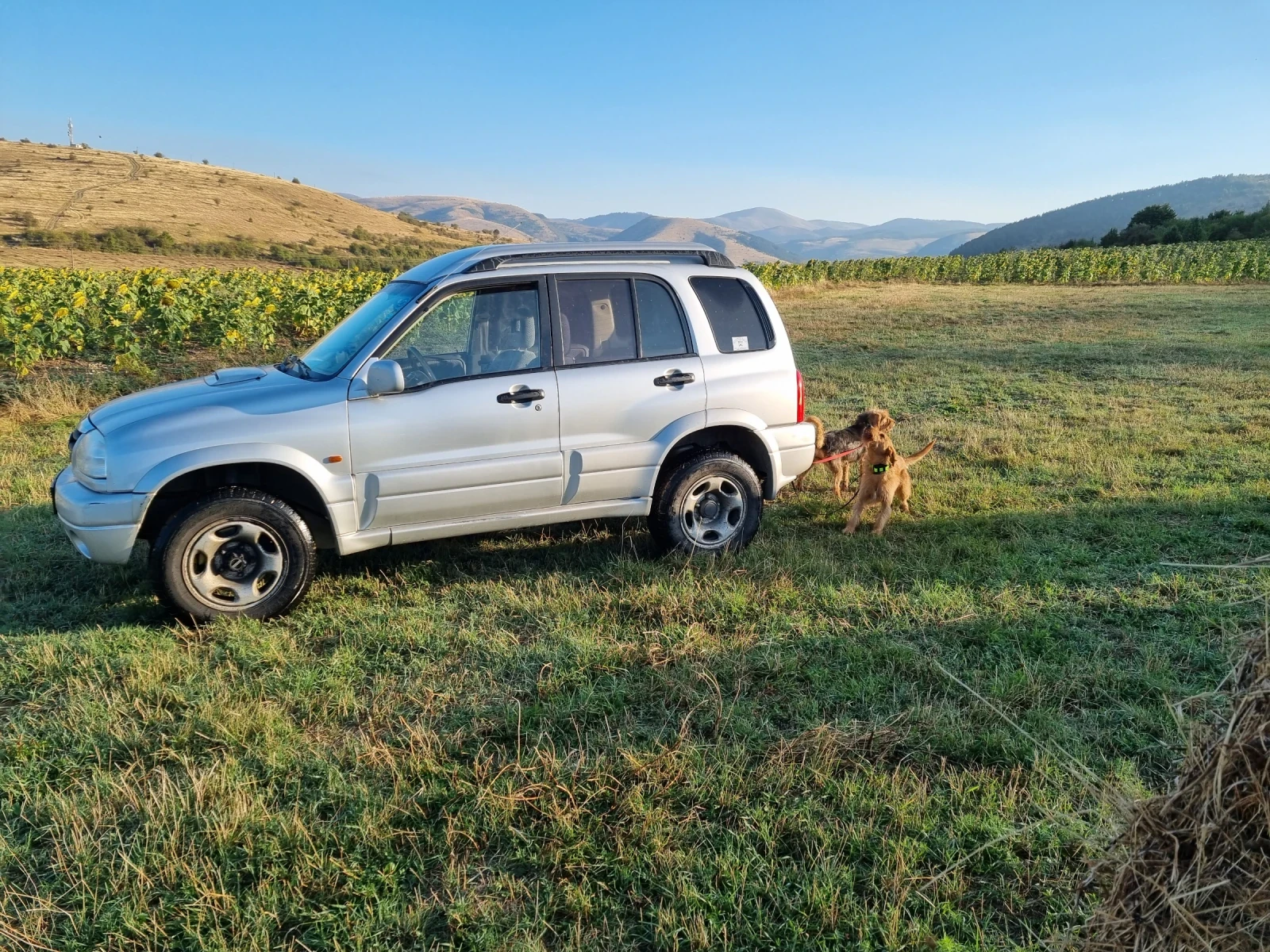 Suzuki Vitara  - изображение 9