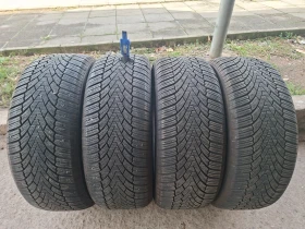 ������ ����