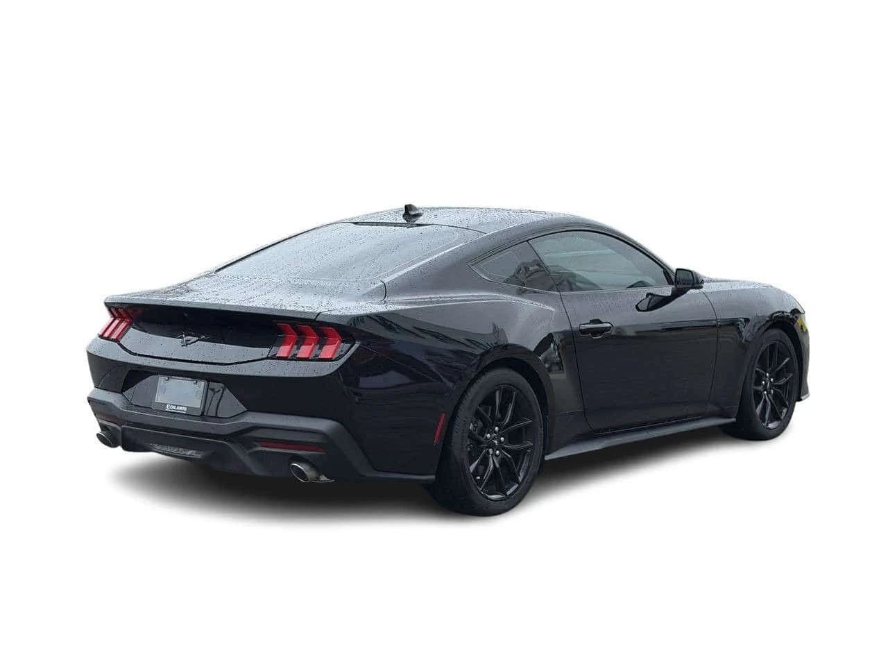 Ford Mustang * I4 * CARFAX * ���� �� �� | Mobile.bg � ����������� 14