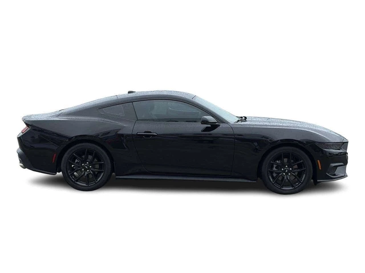 Ford Mustang * I4 * CARFAX * ���� �� �� | Mobile.bg � ����������� 16
