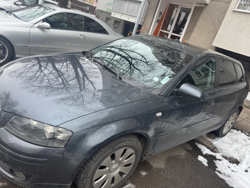 Audi A3 1.9 TDI, снимка 3 - Автомобили и джипове - 48683065