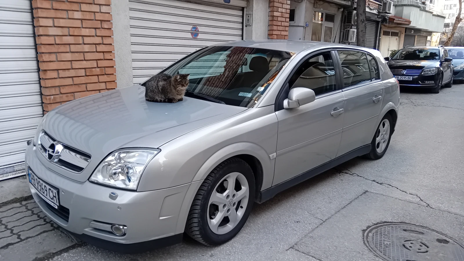 Opel Signum 2.2 - изображение 10