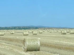 Балировачка Друга марка MF 120, снимка 8