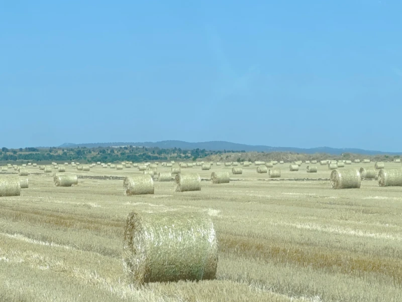 Балировачка Друга марка MF 120, снимка 8 - Селскостопанска техника - 52748358