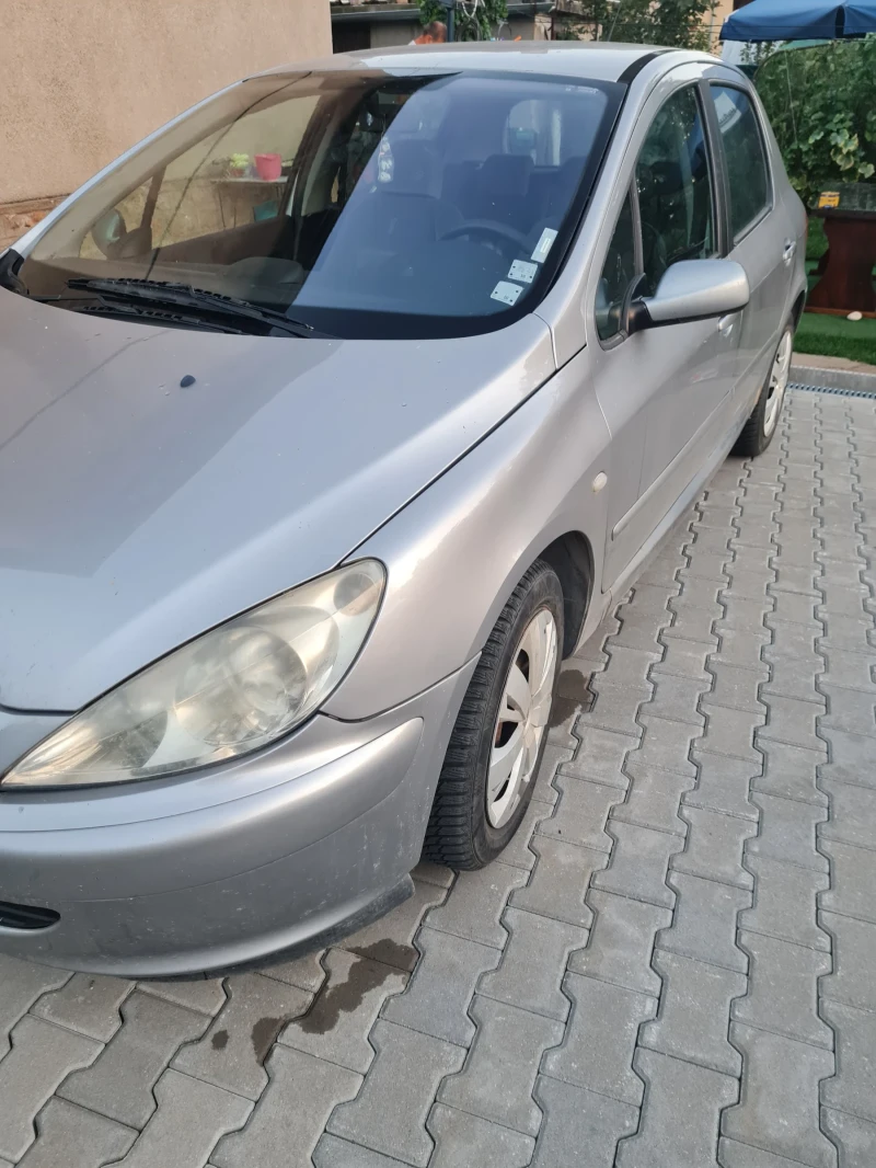 Peugeot 307 Цената е без коментар. С винетка до юли месец, снимка 8 - Автомобили и джипове - 48727348