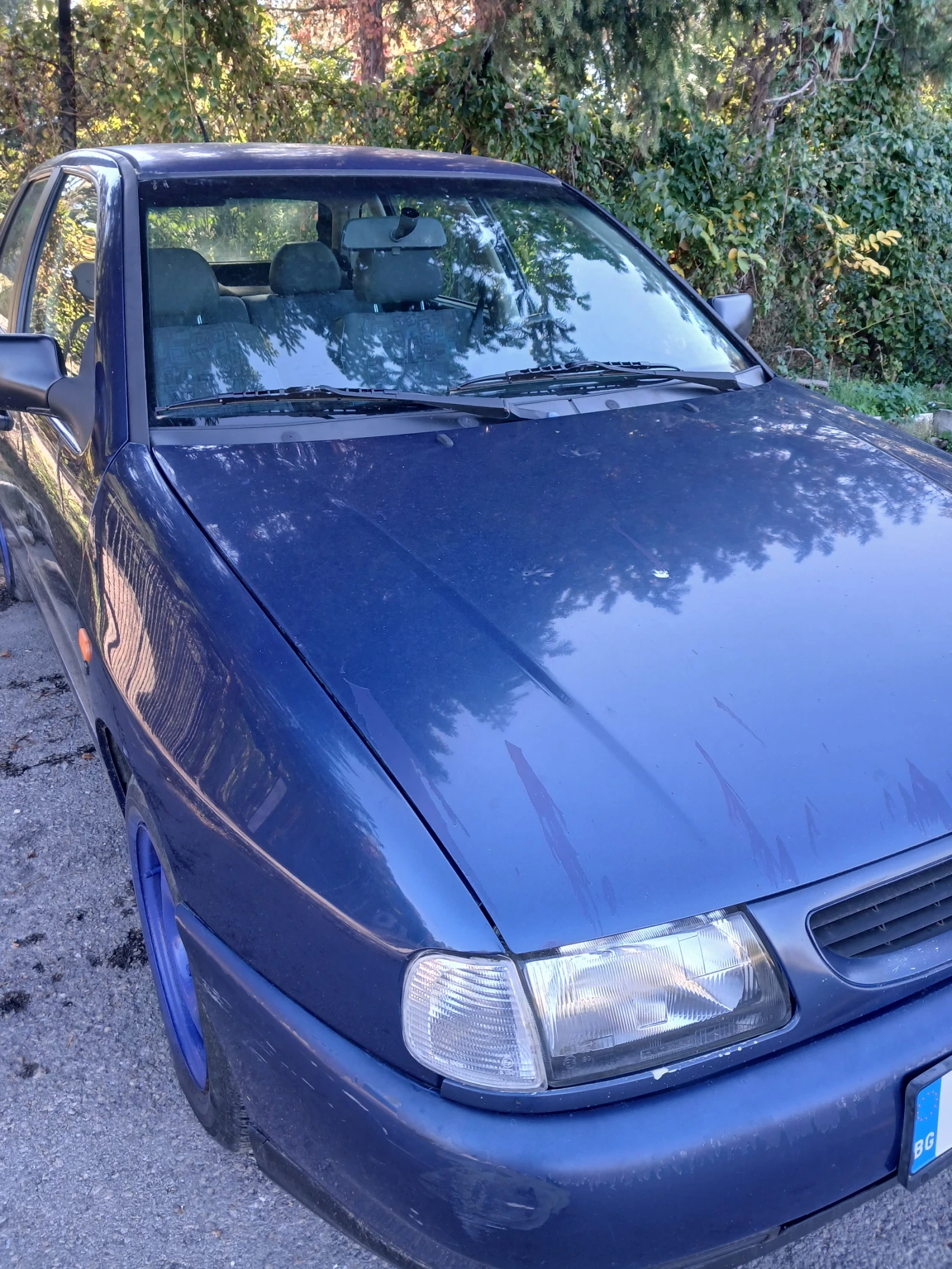 Seat Ibiza