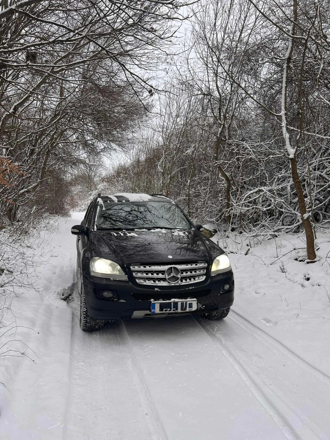 Mercedes-Benz ML 320 4 matic, снимка 5 - Автомобили и джипове - 53910464