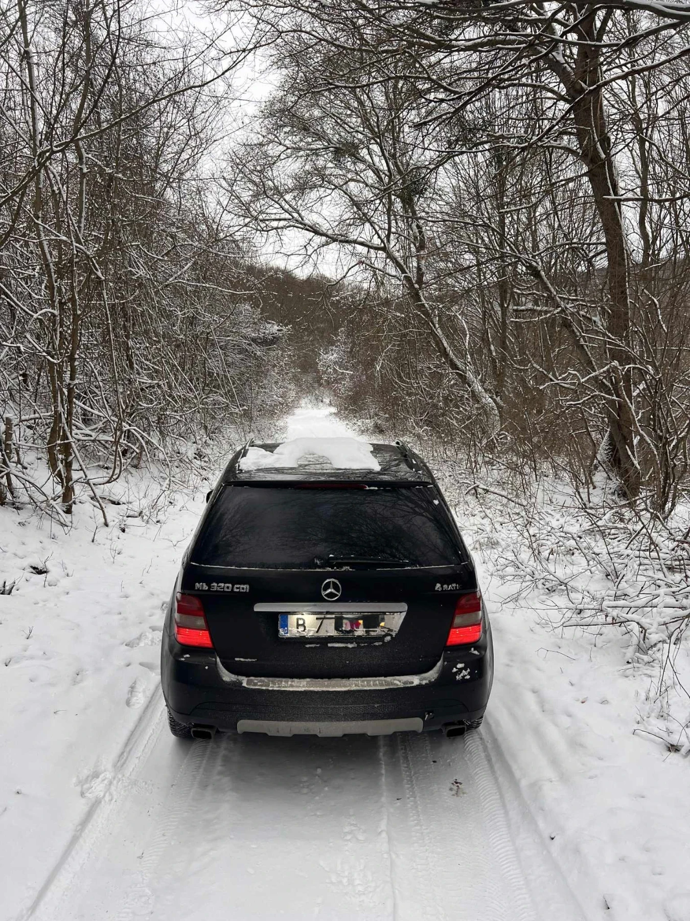 Mercedes-Benz ML 320 4 matic, снимка 6 - Автомобили и джипове - 53910464