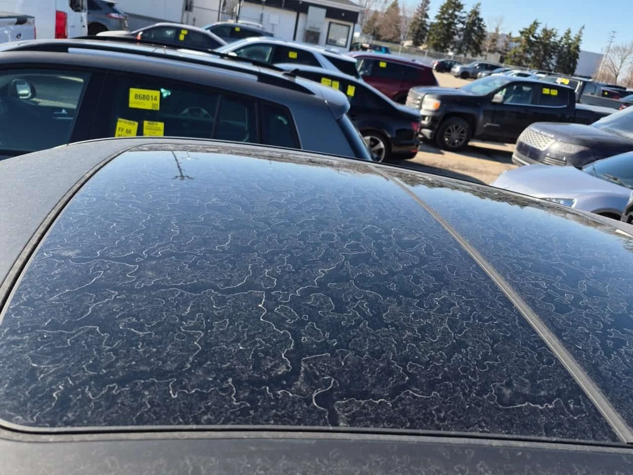 BMW X6 * M60I XDRIVE * CARFAX * БЕЗ ПЪРВОНАЧАЛНА ВНОСКА, снимка 7 - Автомобили и джипове - 54132055