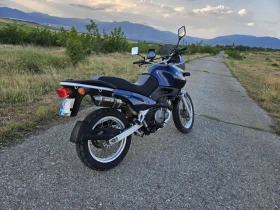 Suzuki XF | Mobile.bg    4