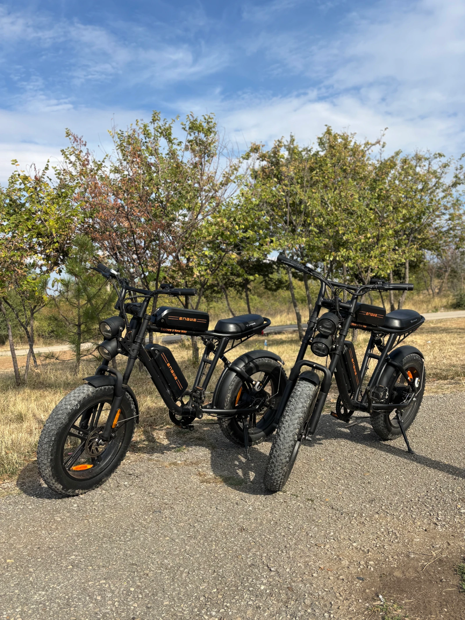  ENGWE M20 | Mobile.bg   1