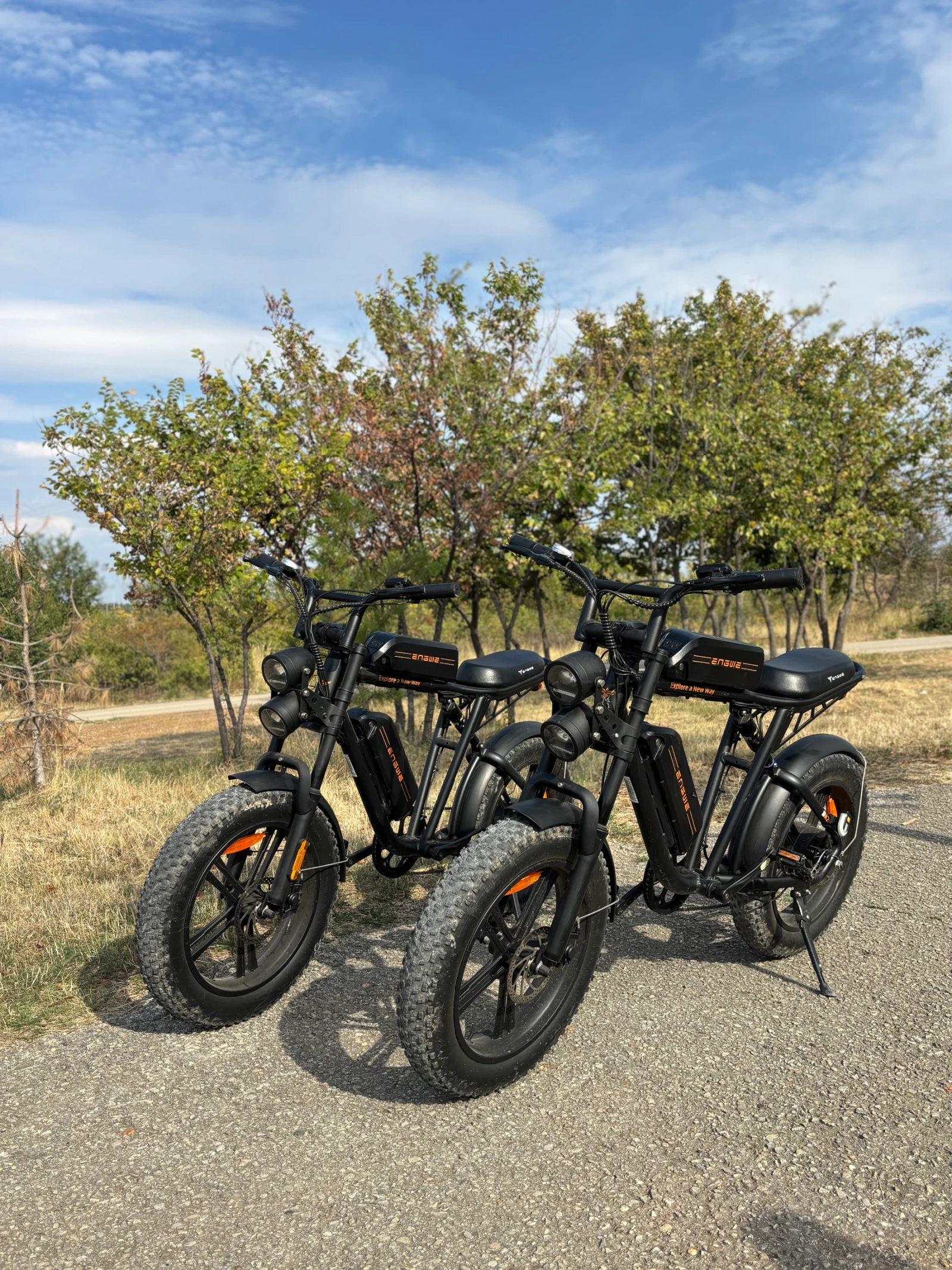  ENGWE M20 | Mobile.bg   8