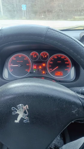 Peugeot 307 2.0 hdi 107, снимка 10