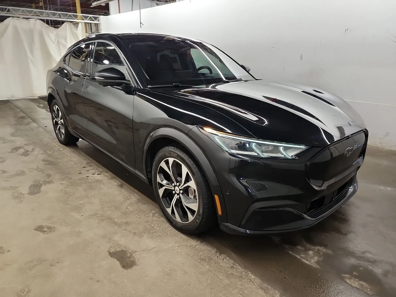 Ford Mustang Mach-E premium* 360View* Keyless* ������� | Mobile.bg � ����������� 3