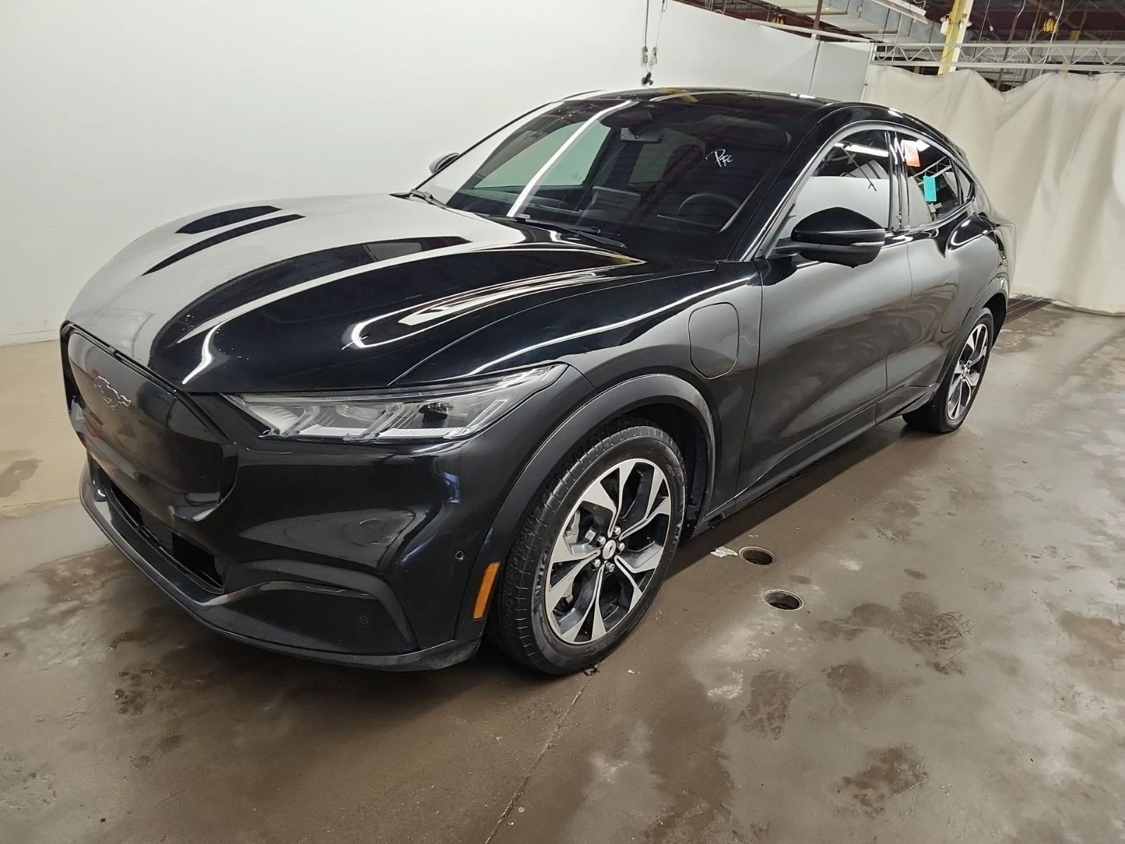 Ford Mustang Mach-E premium* 360View* Keyless* ������� | Mobile.bg � ����������� 1