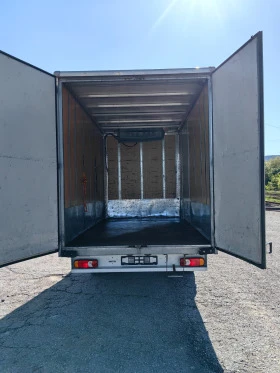 Renault Master Цветя, зеленчук, снимка 2