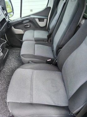 Renault Master Цветя, зеленчук, снимка 11