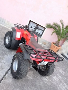 Honda FourTrax Trx 300, снимка 1