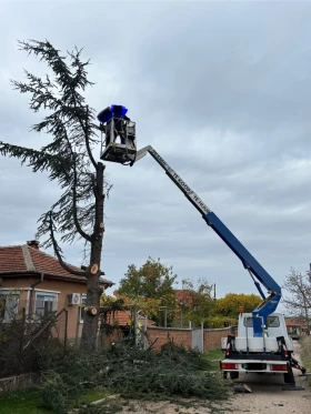  Mercedes-Benz Sprinter | Mobile.bg    2