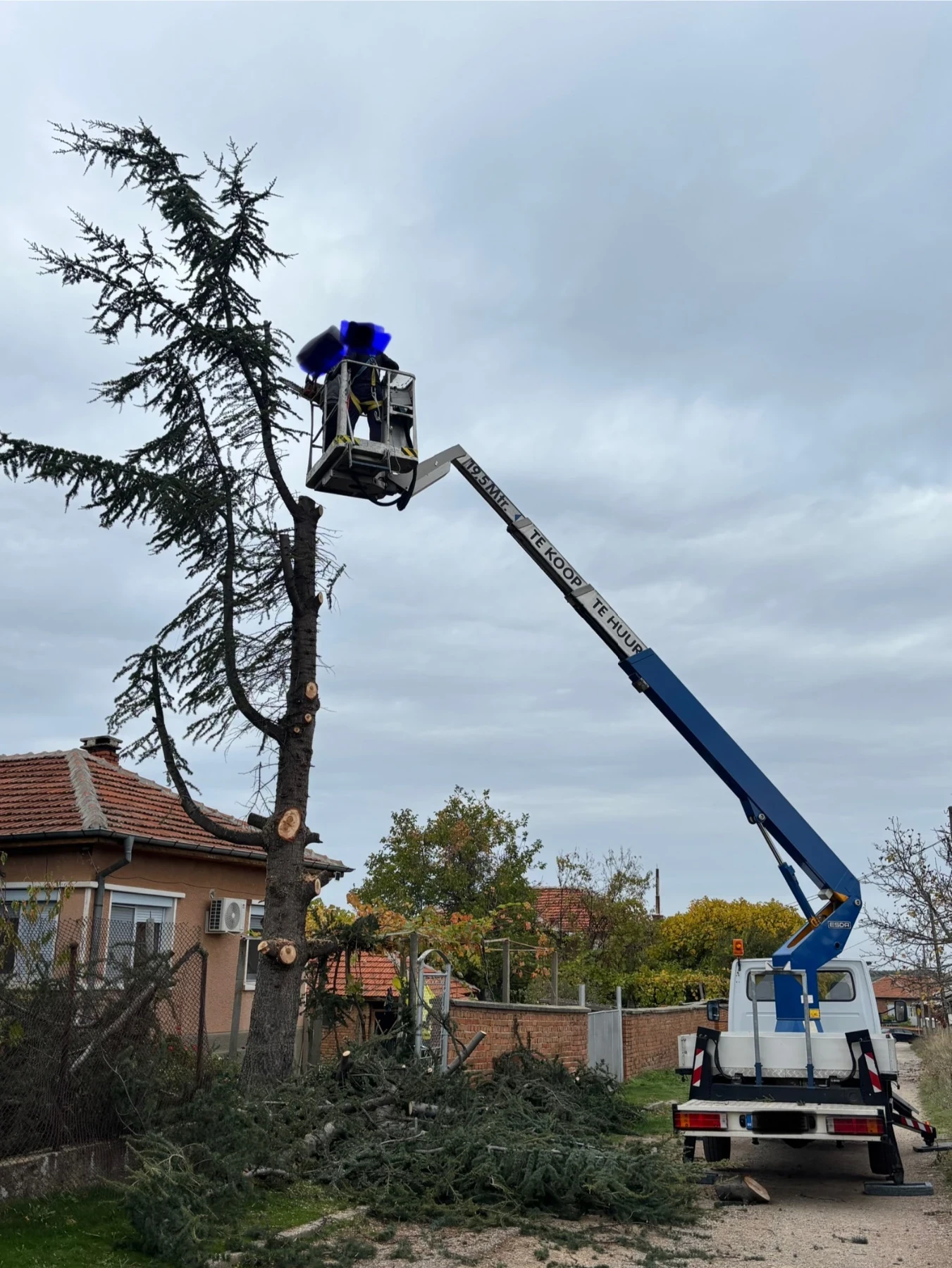  Mercedes-Benz Sprinter | Mobile.bg   2