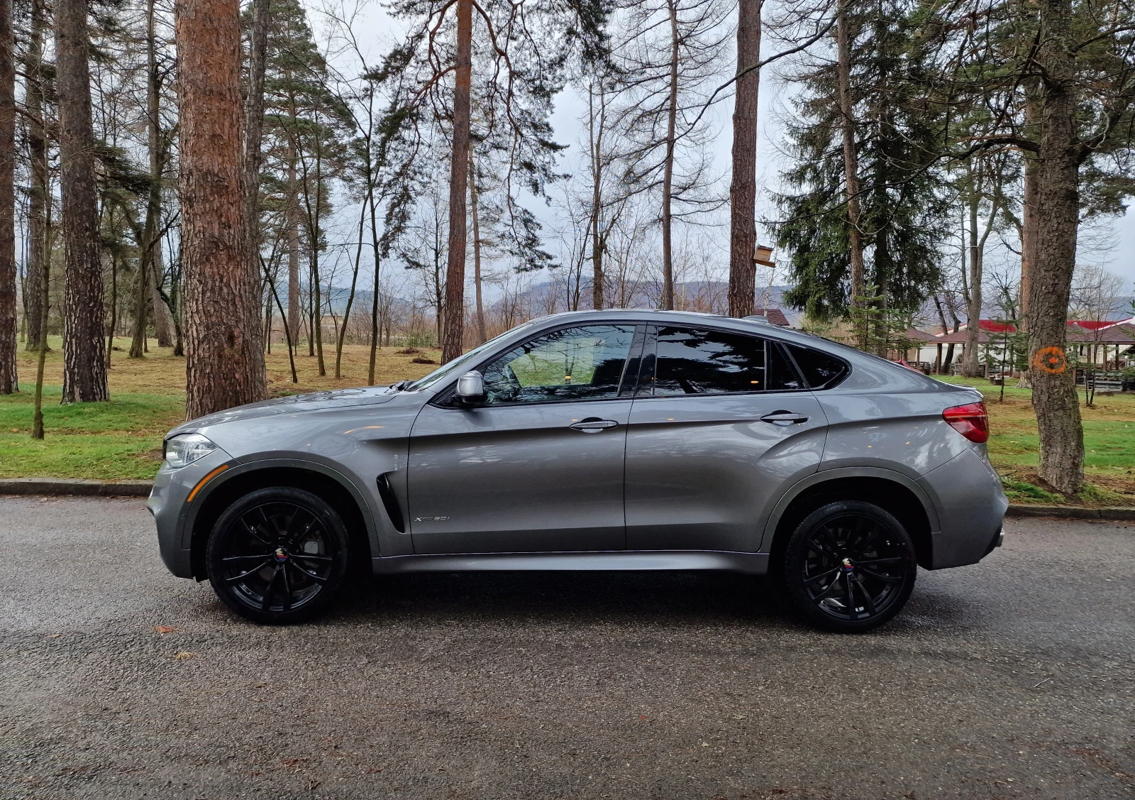 BMW X6 50i xDrive 4. 4L М пакет - изображение 2