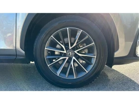 Lexus NX LEXUS NX350h HSD BUSINESS EDIT | Mobile.bg    16
