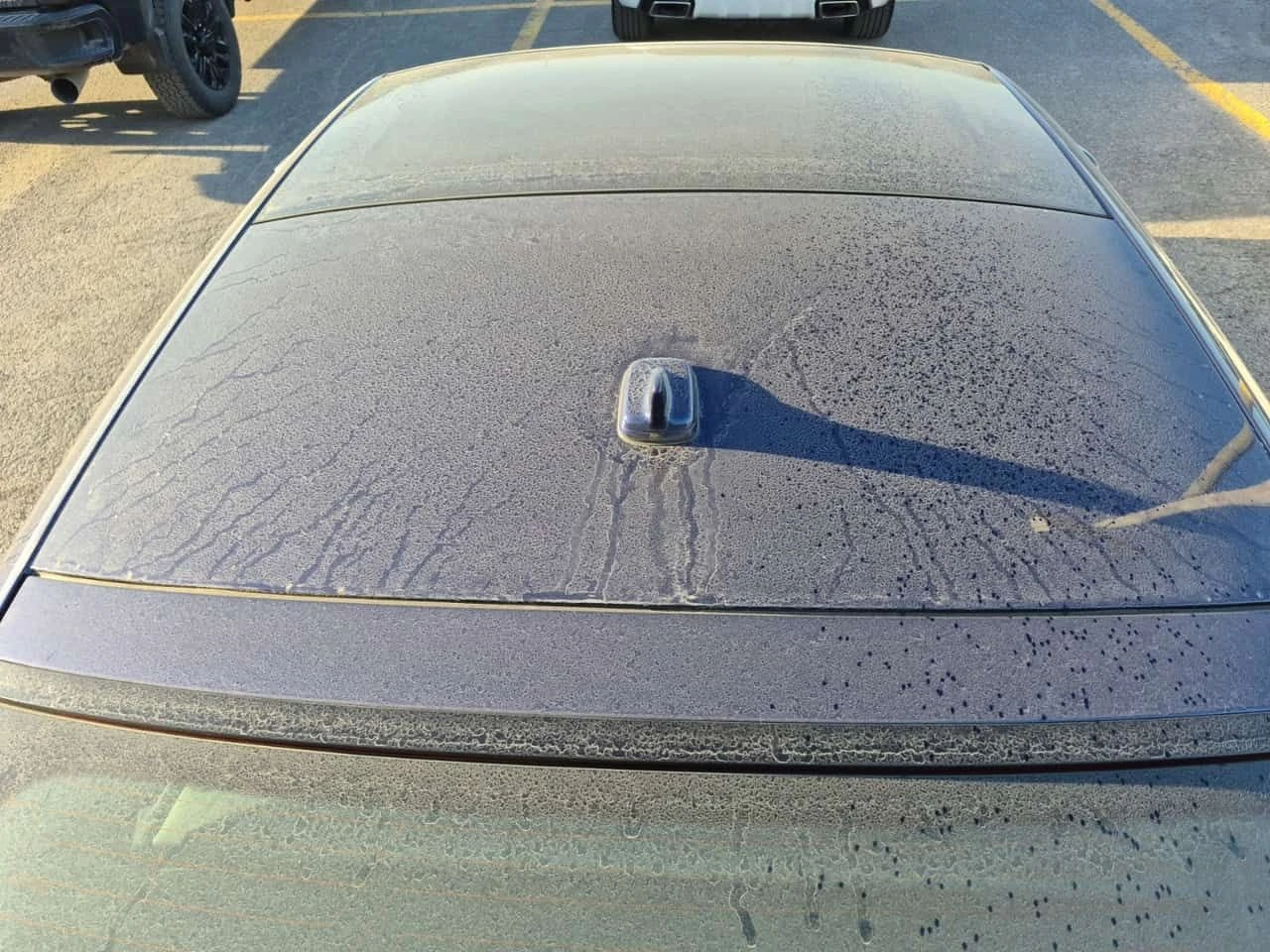 Audi S5 * TECHNIK * CARFAX * ��������� * 360 ������ *  | Mobile.bg � ����������� 7