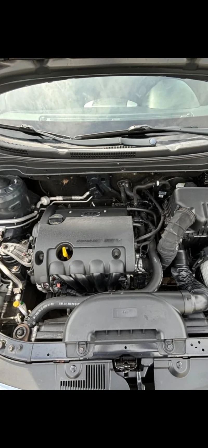 Kia Ceed, снимка 4 - Автомобили и джипове - 48040514