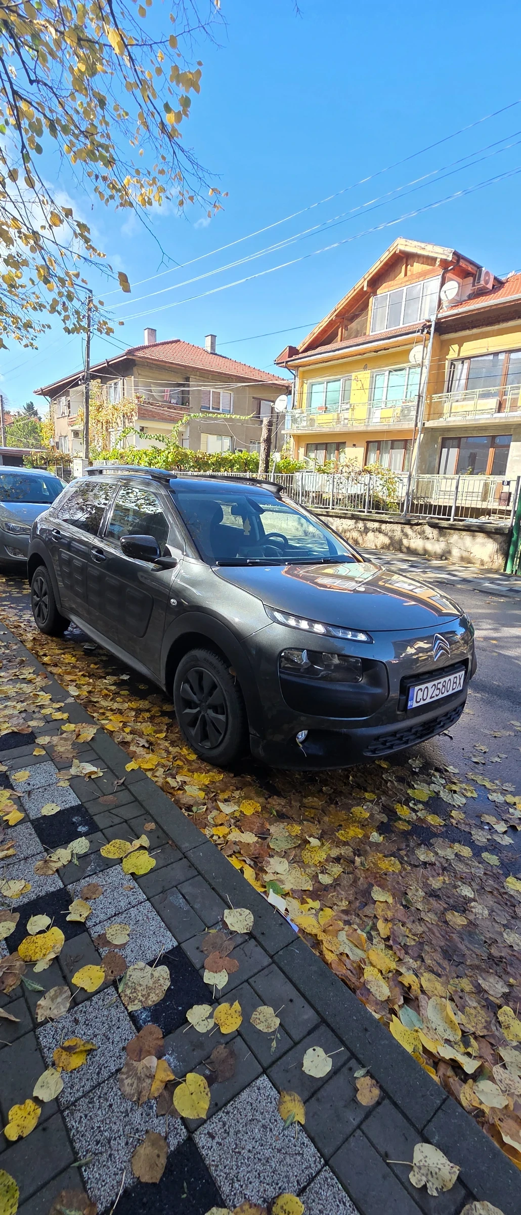 Citroen C4 Cactus 1.6 BLUE HDI | Mobile.bg   12
