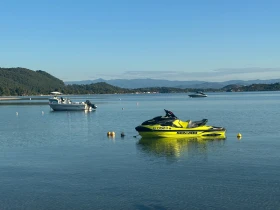  Bombardier Sea Doo RXT 300 RS | Mobile.bg    6