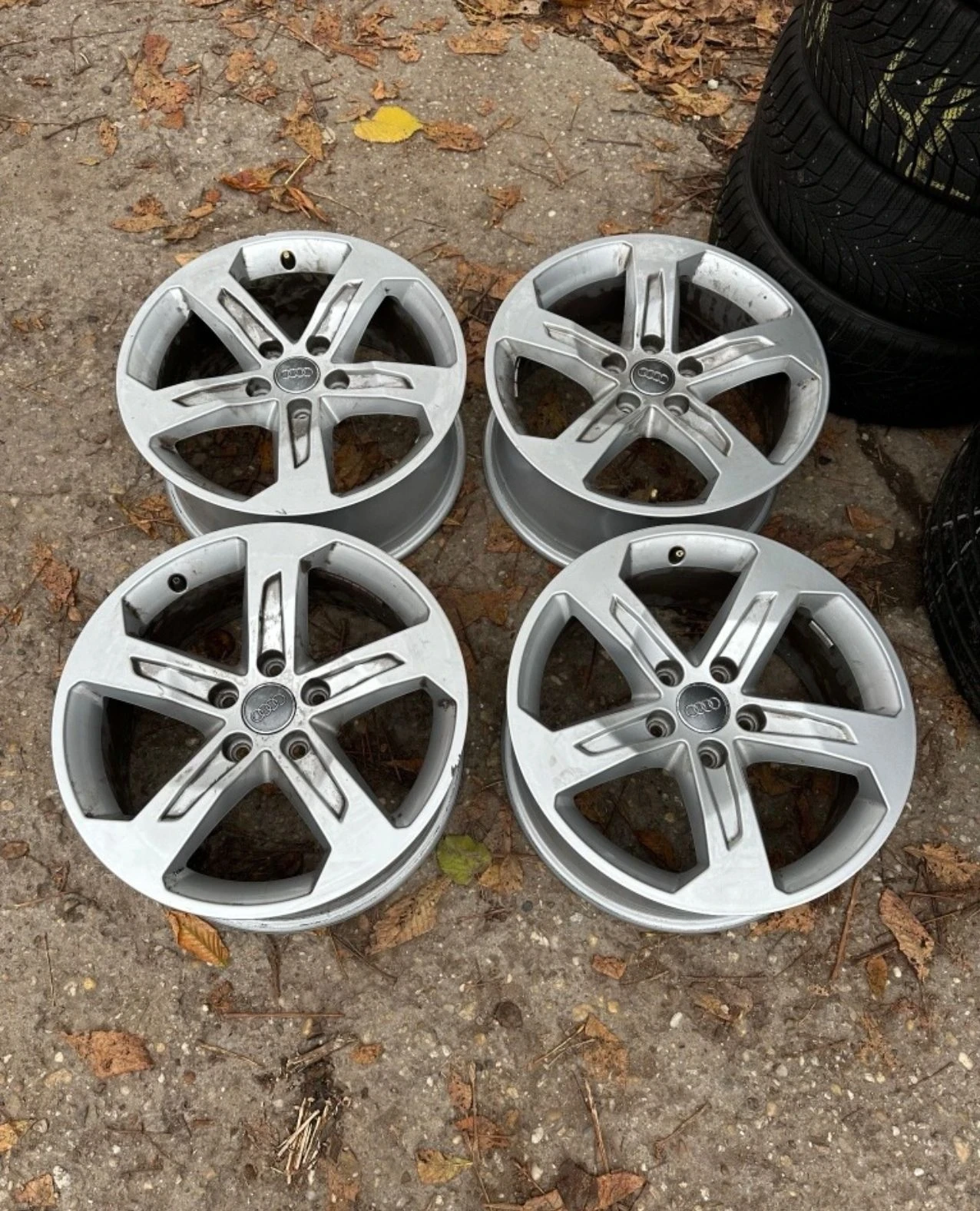 Джанти за Audi